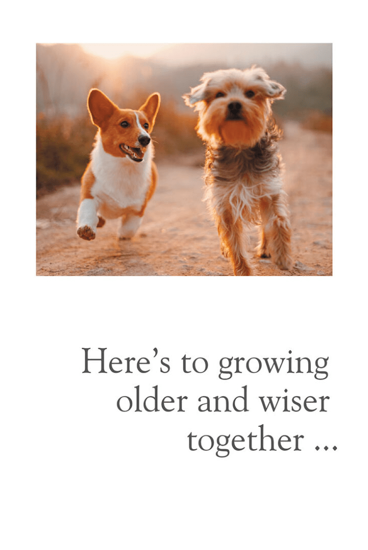 Cardthartic Card Dogs Running Together Card