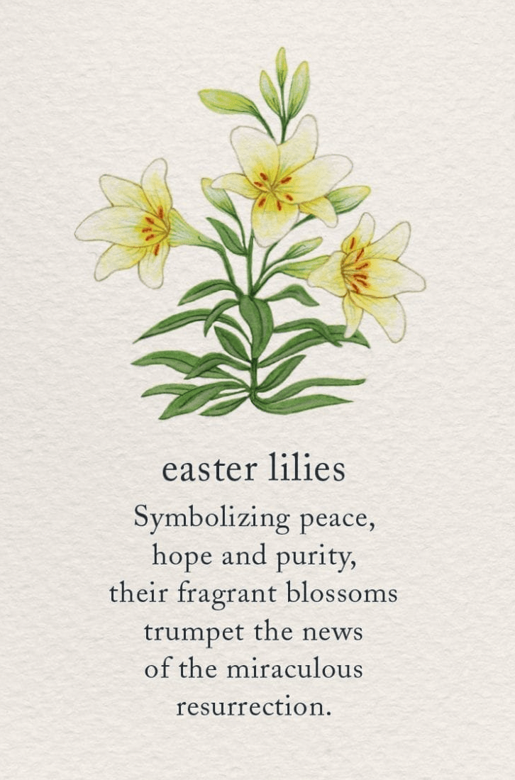 Cardthartic Card Easter Lily Card