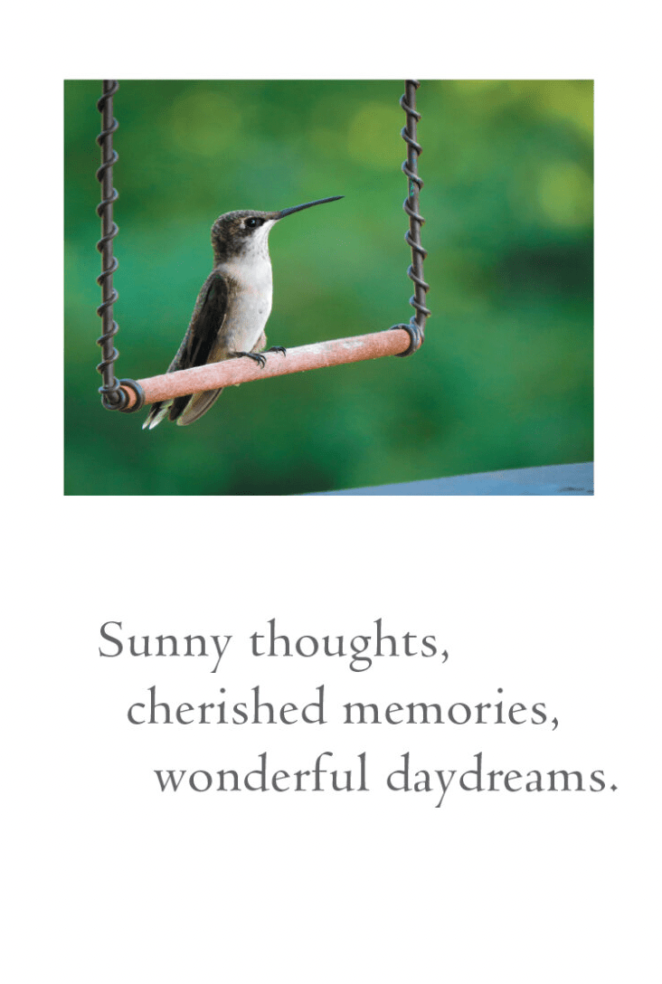 Cardthartic Card Hummingbird on Swing Birthday Card