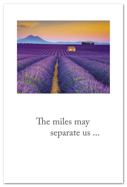 Cardthartic Card Lavender Fields of Valensole Card