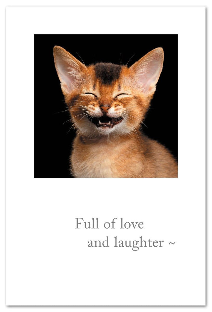 Cardthartic Card Love & Laughter Cat Birthday Card