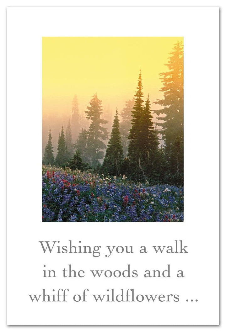Cardthartic Card Mt. Rainier Wildflower Field Birthday Card