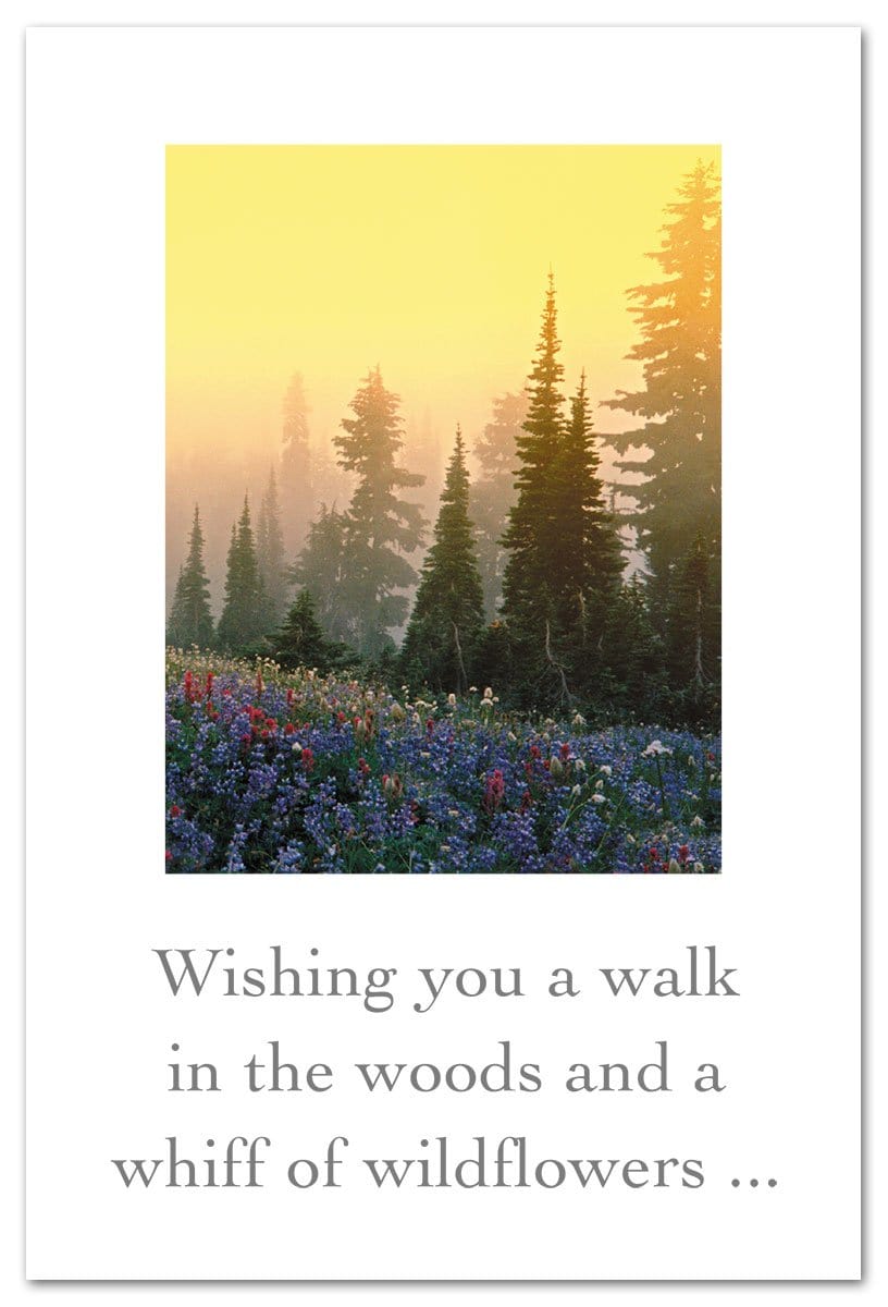 Cardthartic Card Mt. Rainier Wildflower Field Birthday Card