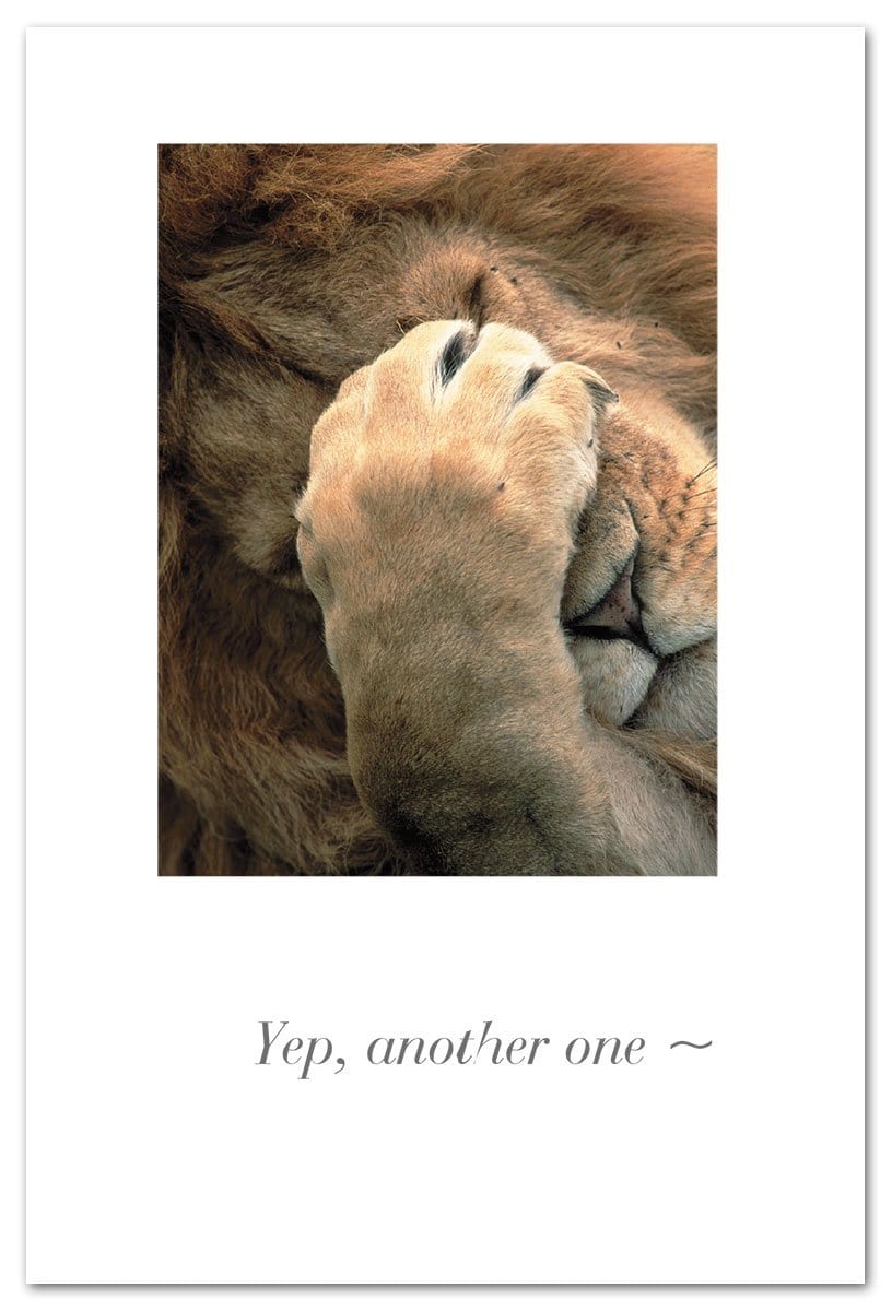 Cardthartic Card Paw-Faced Lion Birthday Card