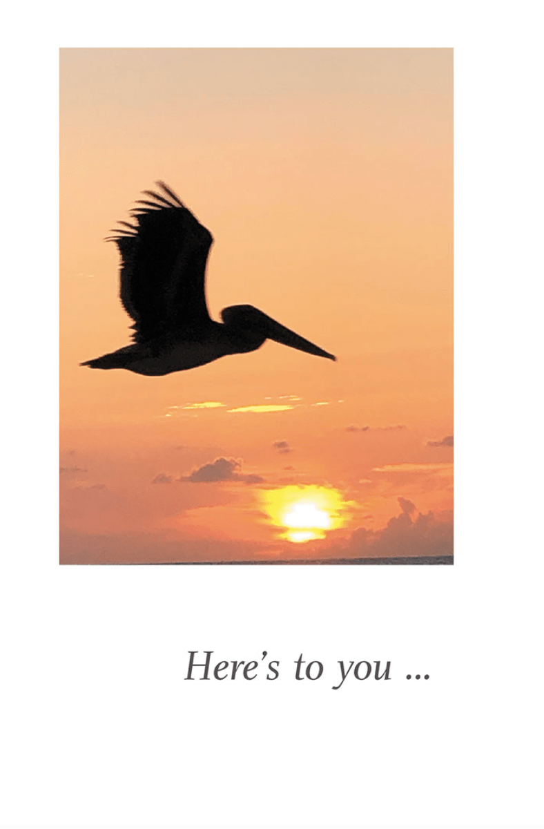 Cardthartic Card Pelican at Sunrise Birthday Card
