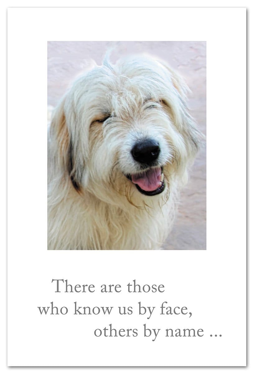 Cardthartic Card Smiley Dog Birthday Card