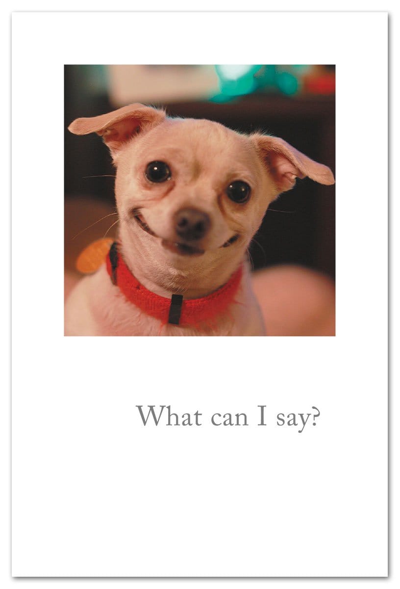 Cardthartic Card Smiling Chihuahua Love Card