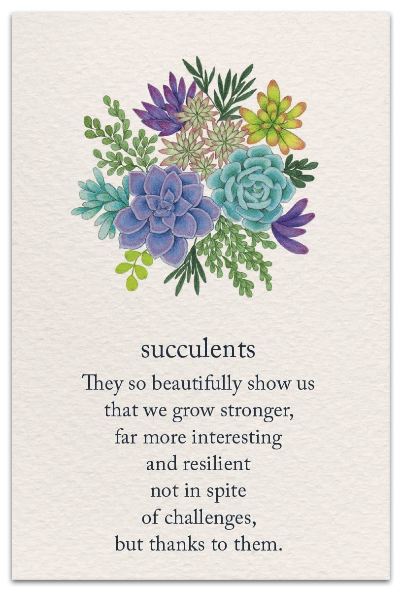 Cardthartic Card Succulents Card