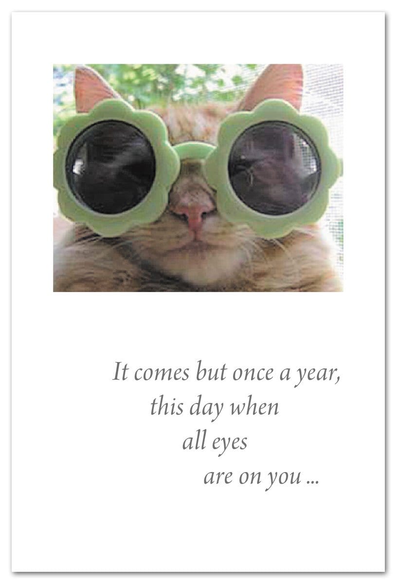 Cardthartic Card Sunglasses Cat Birthday Card