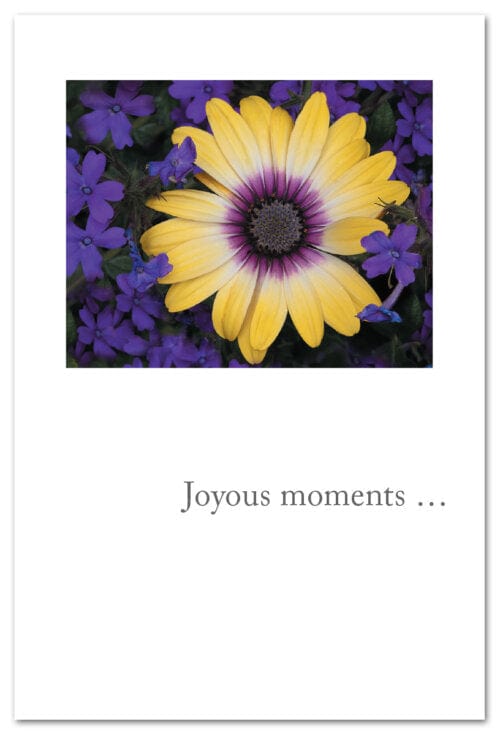Cardthartic Card Yellow & Purple Flowers Card