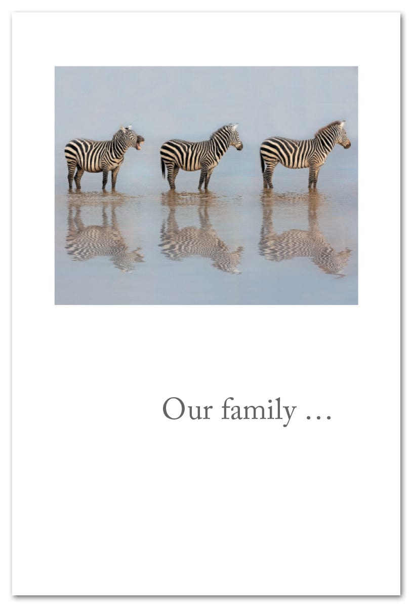 Cardthartic Card Zebra Family Birthday Card