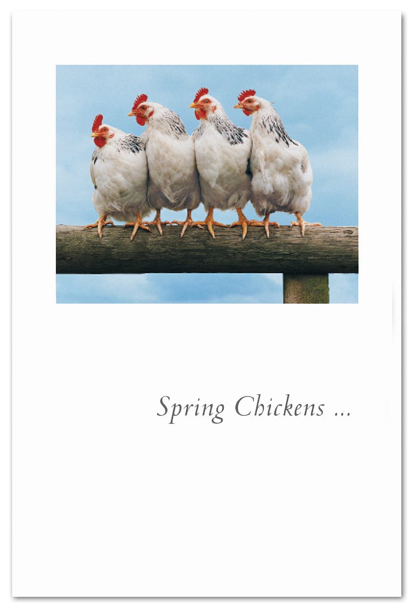 Cardthartic Spring Chickens on Rail Birthday Card