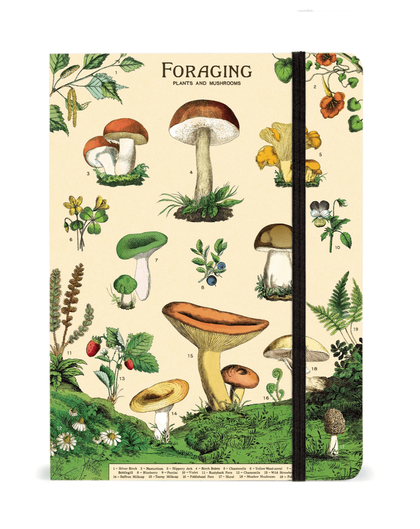 Cavallini & Co. Notebook Foraging 6x8 Notebook