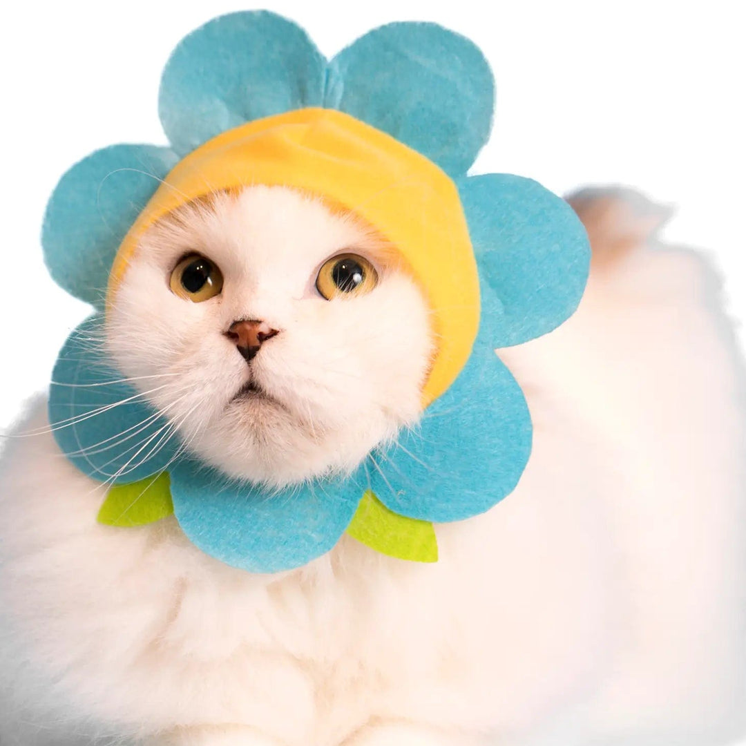 Clever Idiots Toy Kitan Club Cat Cap Blind Box - Flower