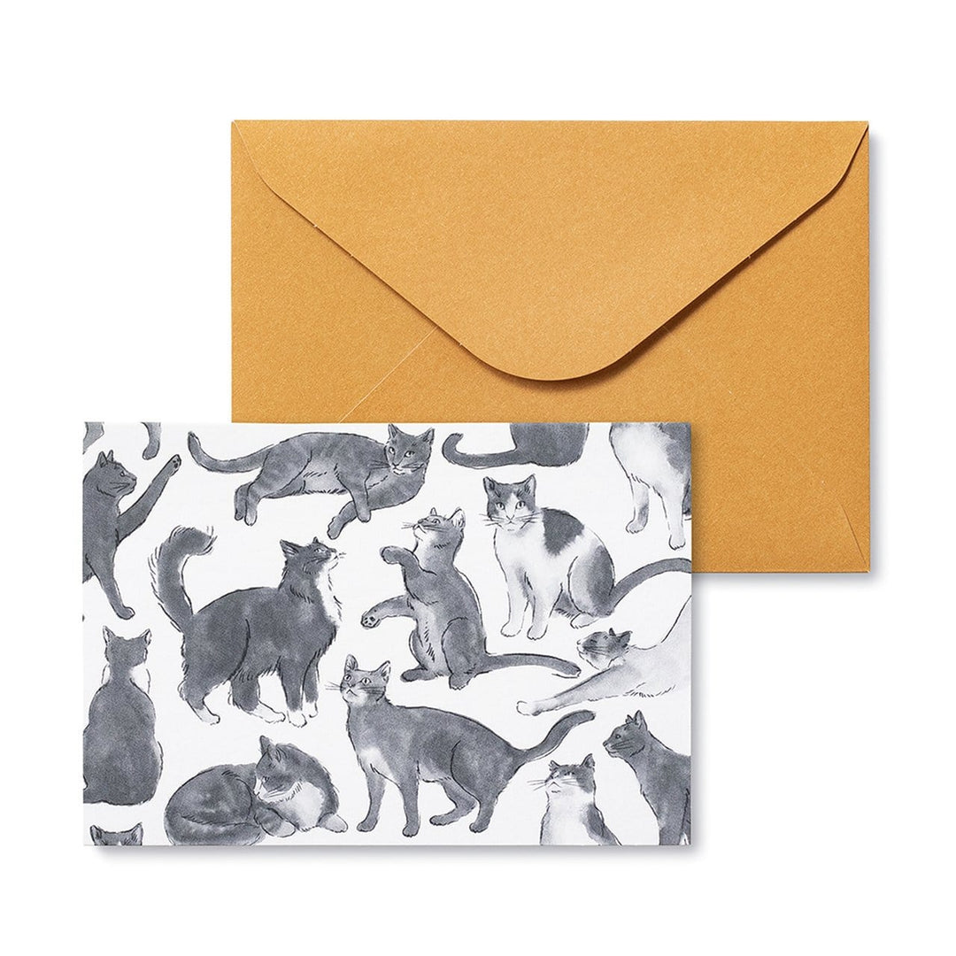 Compendium Boxed Card Set Cat-Themed Boxed Note Card Set