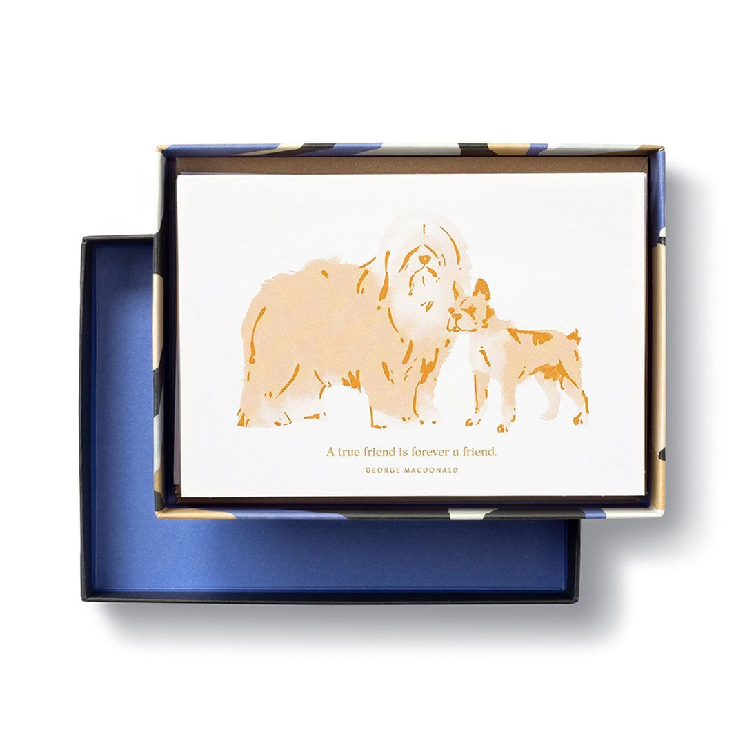 Compendium Boxed Card Set Dog-Themed Boxed Note Card Set