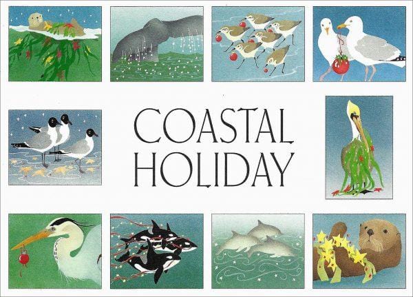 Crane Creek Graphics Boxed Card Set Coastal Holiday Boxed Card Set