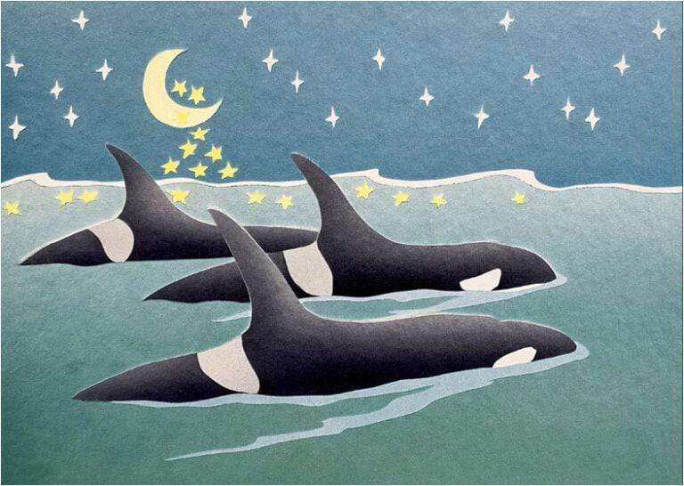 Crane Creek Graphics Boxed Card Set Orcas' Passage Holiday Card Set