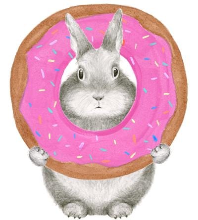 Dear Hancock Card Donut Bunny Birthday Card