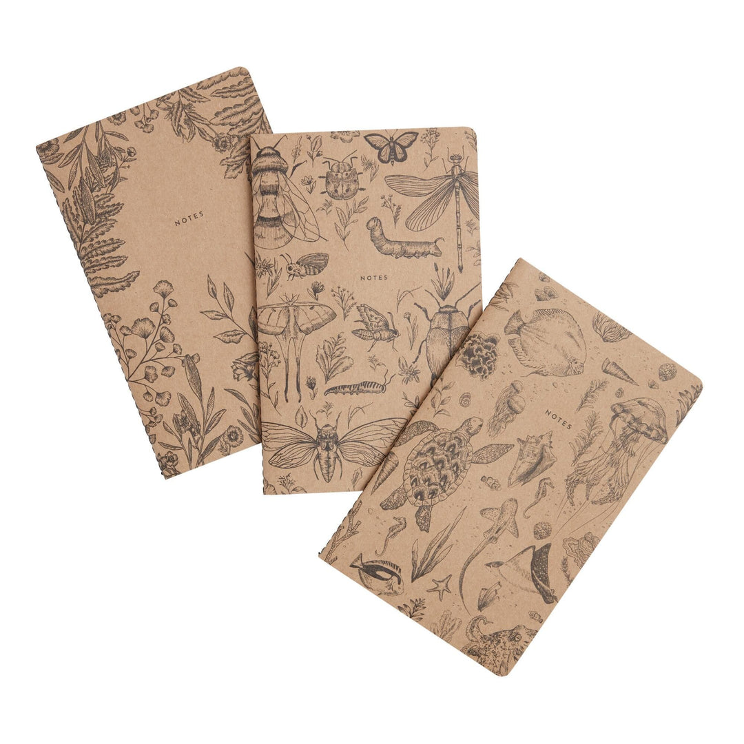 Denik Notebook Science Notes 3 Pack - Line Notebooks
