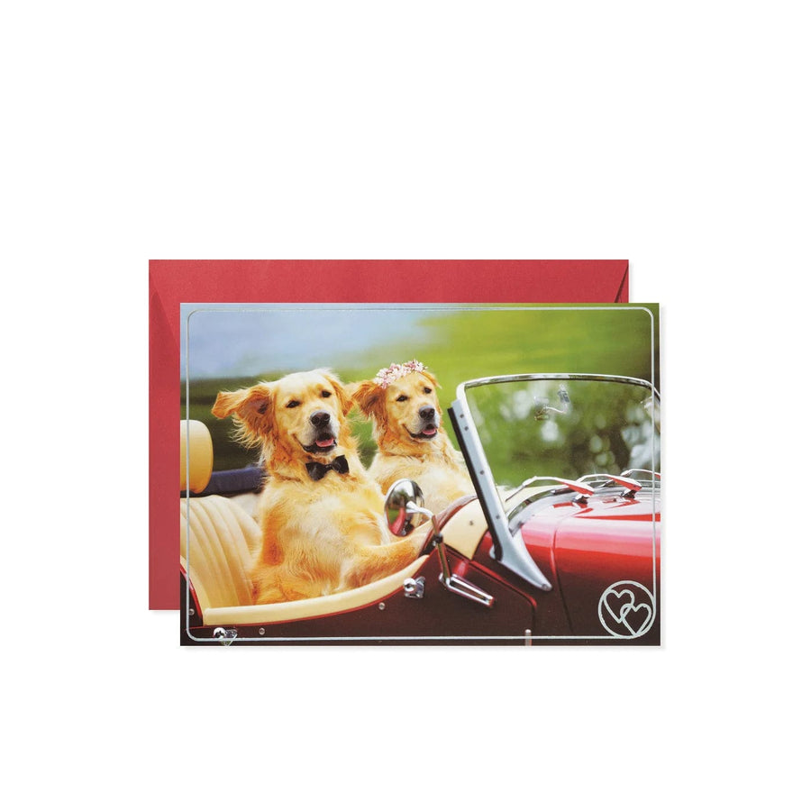 Design Design Card 2 Dogs Driving Convertible