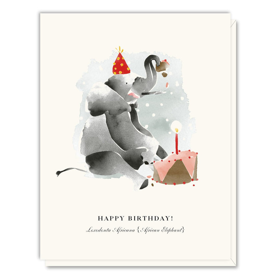 Driscoll Designs Card Birthday Elephant Card