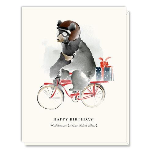 Driscoll Designs Card Happy Birthday Bear Card