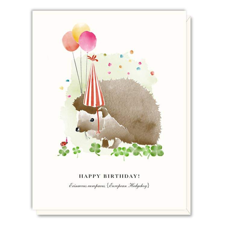 Driscoll Designs Card Hedgehog Birthday Card