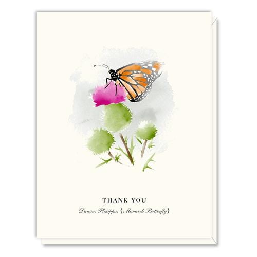 Driscoll Designs Card Monarch Butterfly Thank You Card