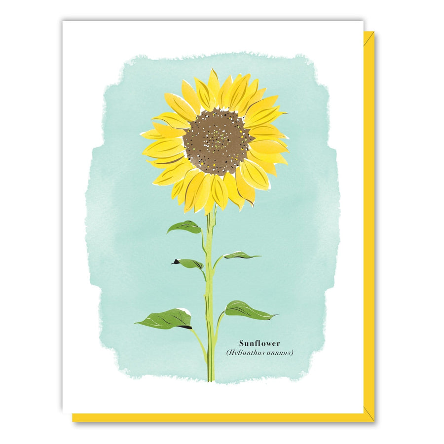 Driscoll Designs Card Sunflower Card