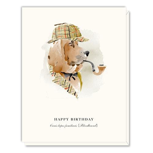 Driscoll Designs Single Card Birthday Bloodhound