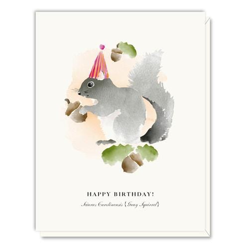 Driscoll Designs Single Card Birthday Squirrel Card