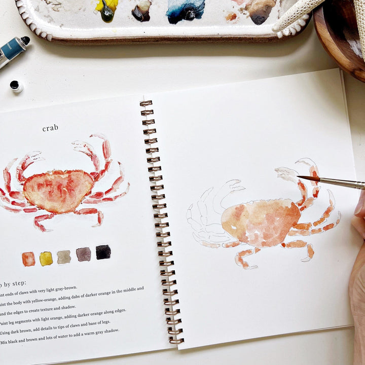Emily Lex Art Supplies Watercolor Workbook: Seaside