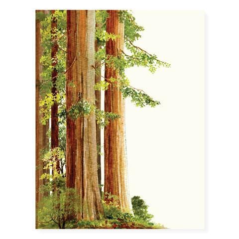 Felix Doolittle Card Redwood Trees Card