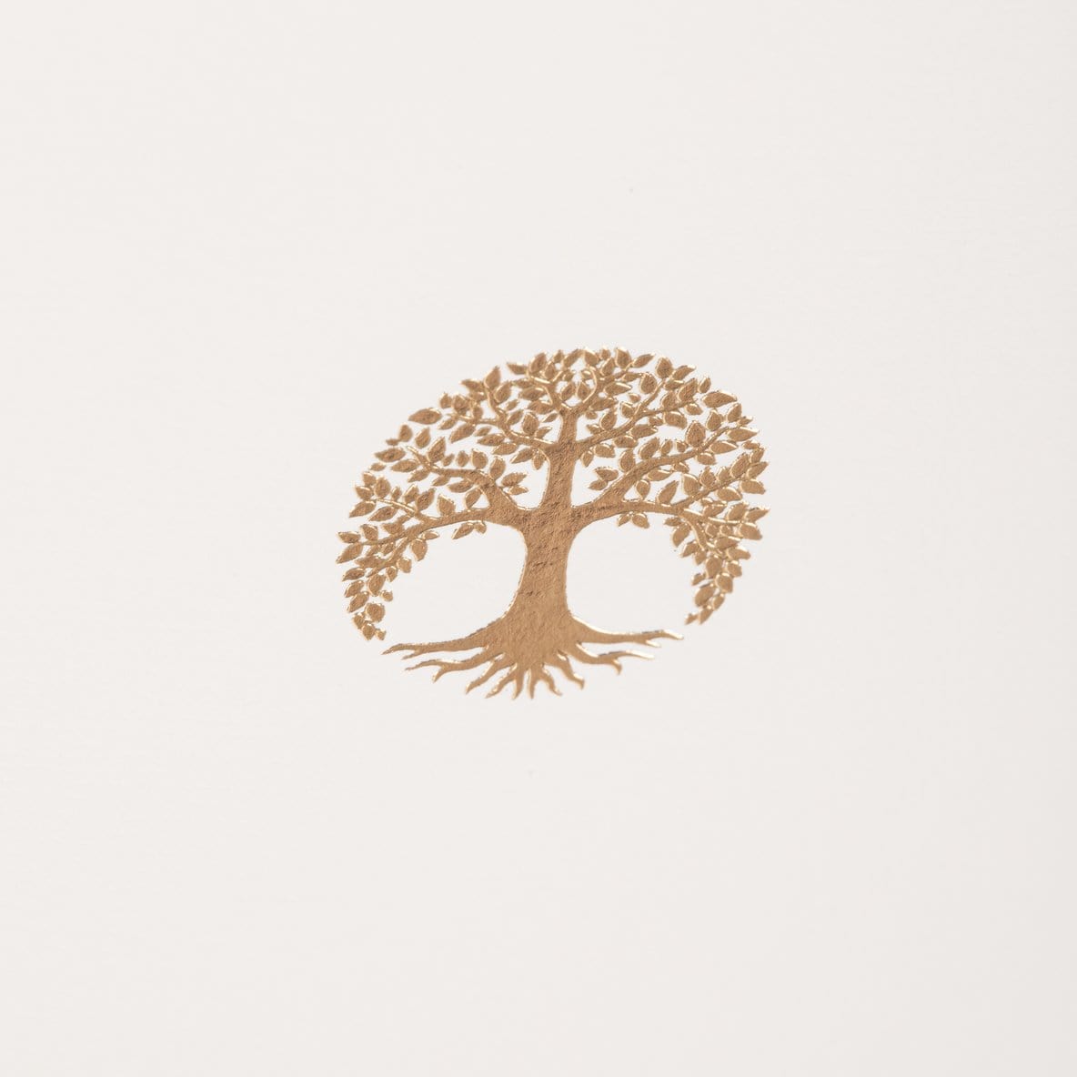 Graphique de France Boxed Card Set Tree La Petite Presse Boxed Set