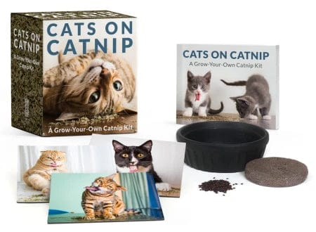 Hachette Desk Accessories Cats on Catnip