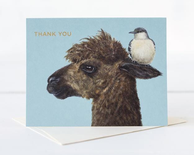Hester and Cook Card Thank You Alpaca Card