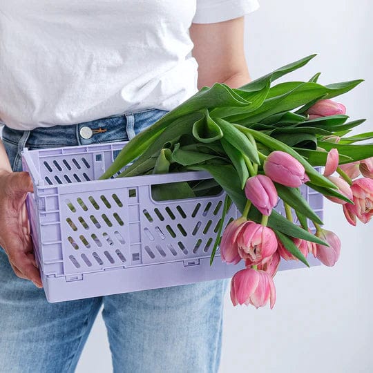 Humber Basket Medium Storage Crate