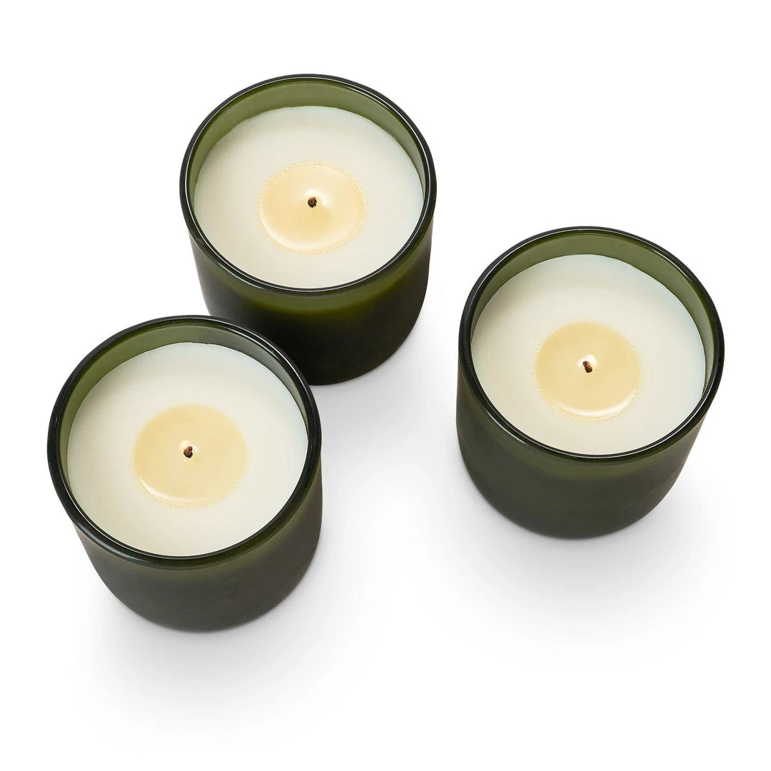 Illume Candle Balsam & Cedar Candle Trio Gift Set