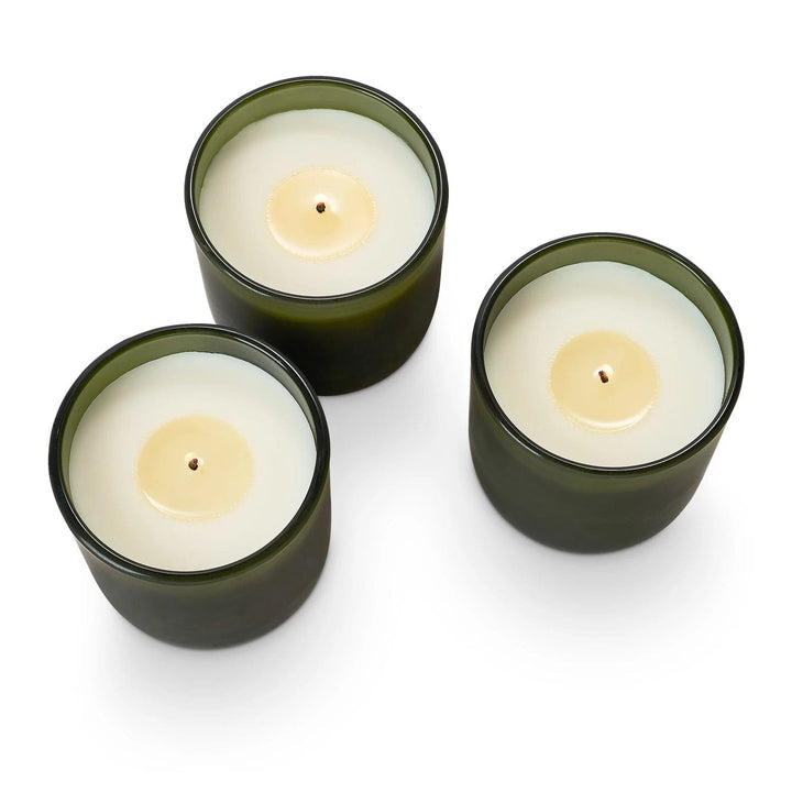 Illume Candle Balsam & Cedar Candle Trio Gift Set