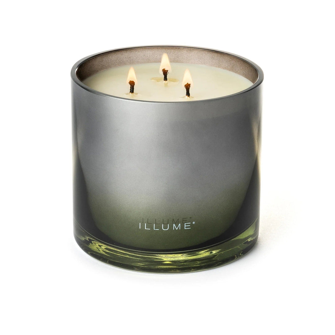 Illume Candle Blackberry Absinthe Statement Glass Candle