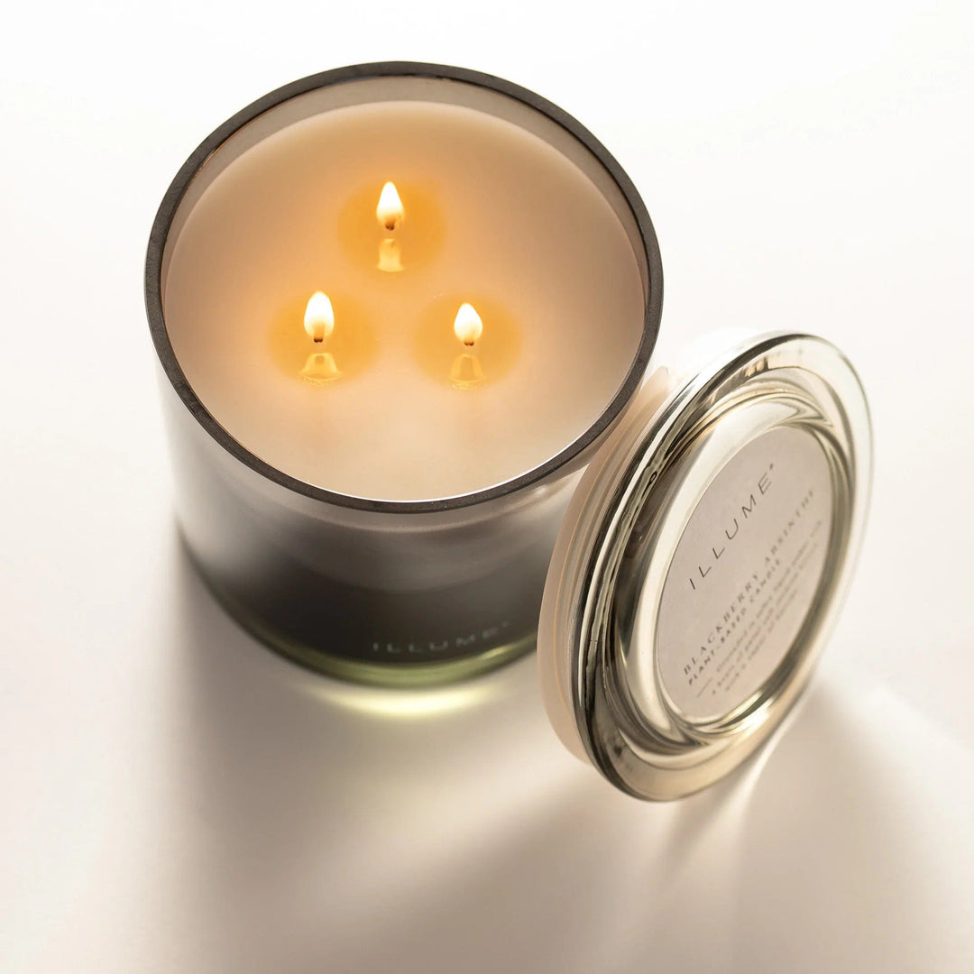 Illume Candle Blackberry Absinthe Statement Glass Candle