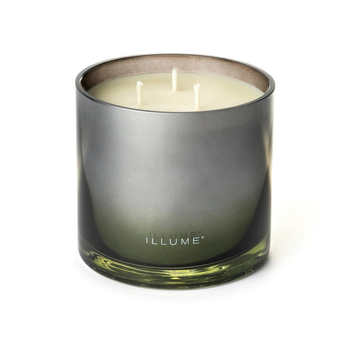 Illume Candle Blackberry Absinthe Statement Glass Candle