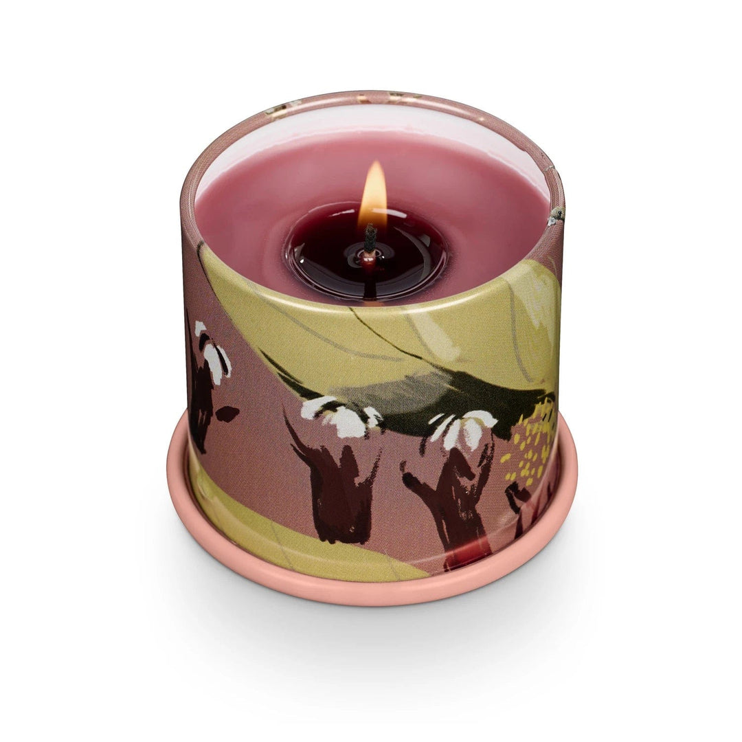 Illume Candle Cardamom Pomander Demi Vanity Tin