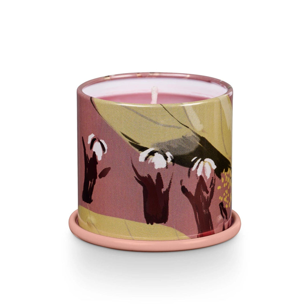 Illume Candle Cardamom Pomander Demi Vanity Tin