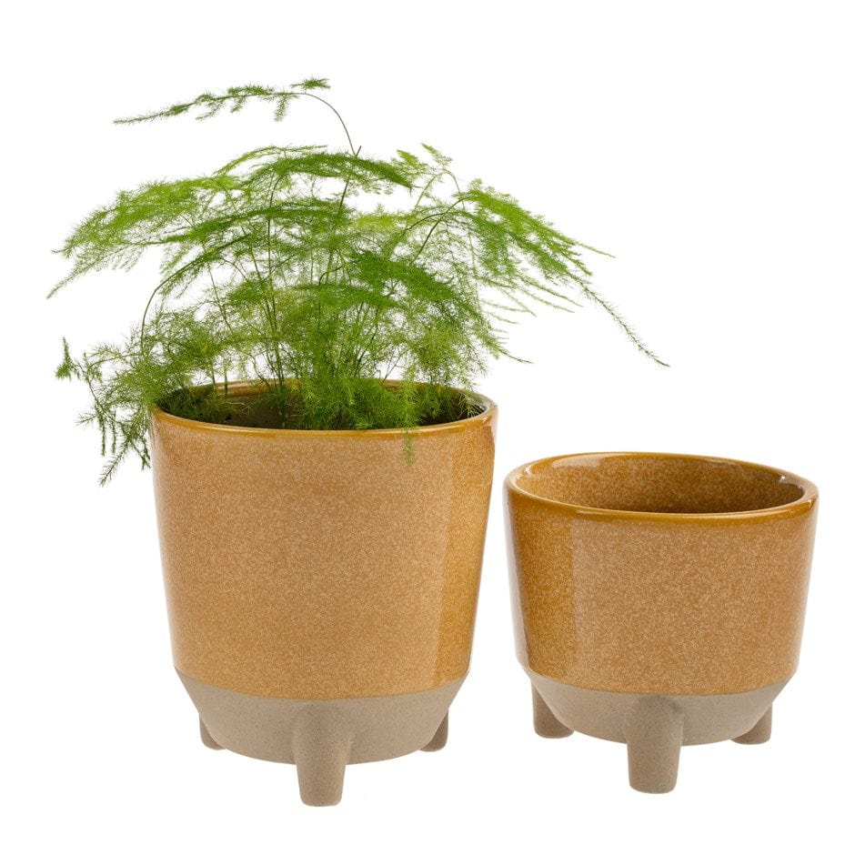 Indaba Pot Tangerine Botanist Pot