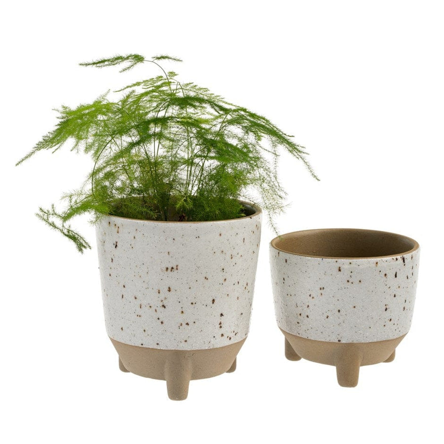 Indaba Pot White Botanist Pot