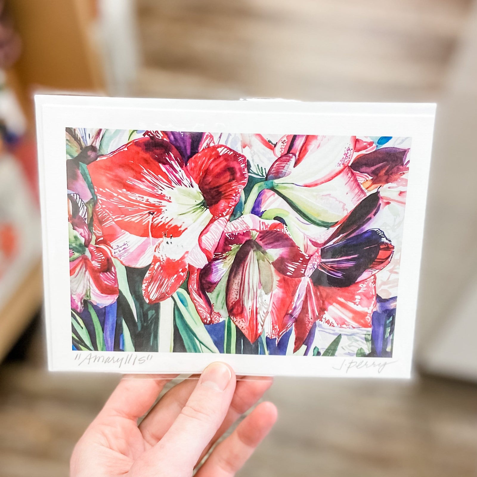 Judith Perry card Amaryllis Folded Single Card