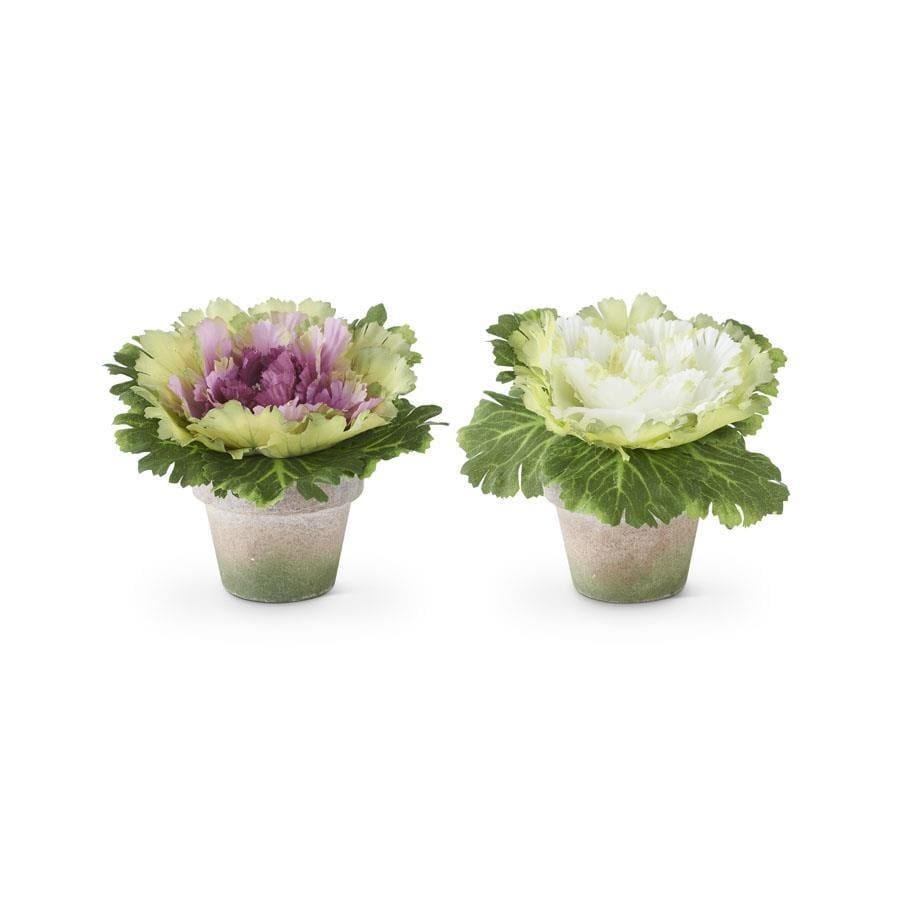 K&K Interiors Faux Flowers 6" Faux Cabbage in Pot