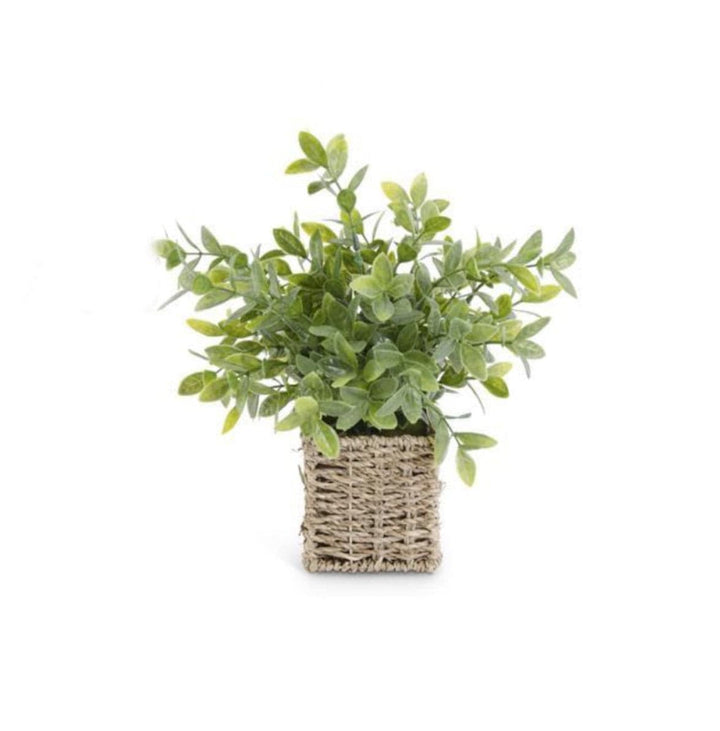K&K Interiors Foliage 3 12 Inch Faux Herb in Woven Basket